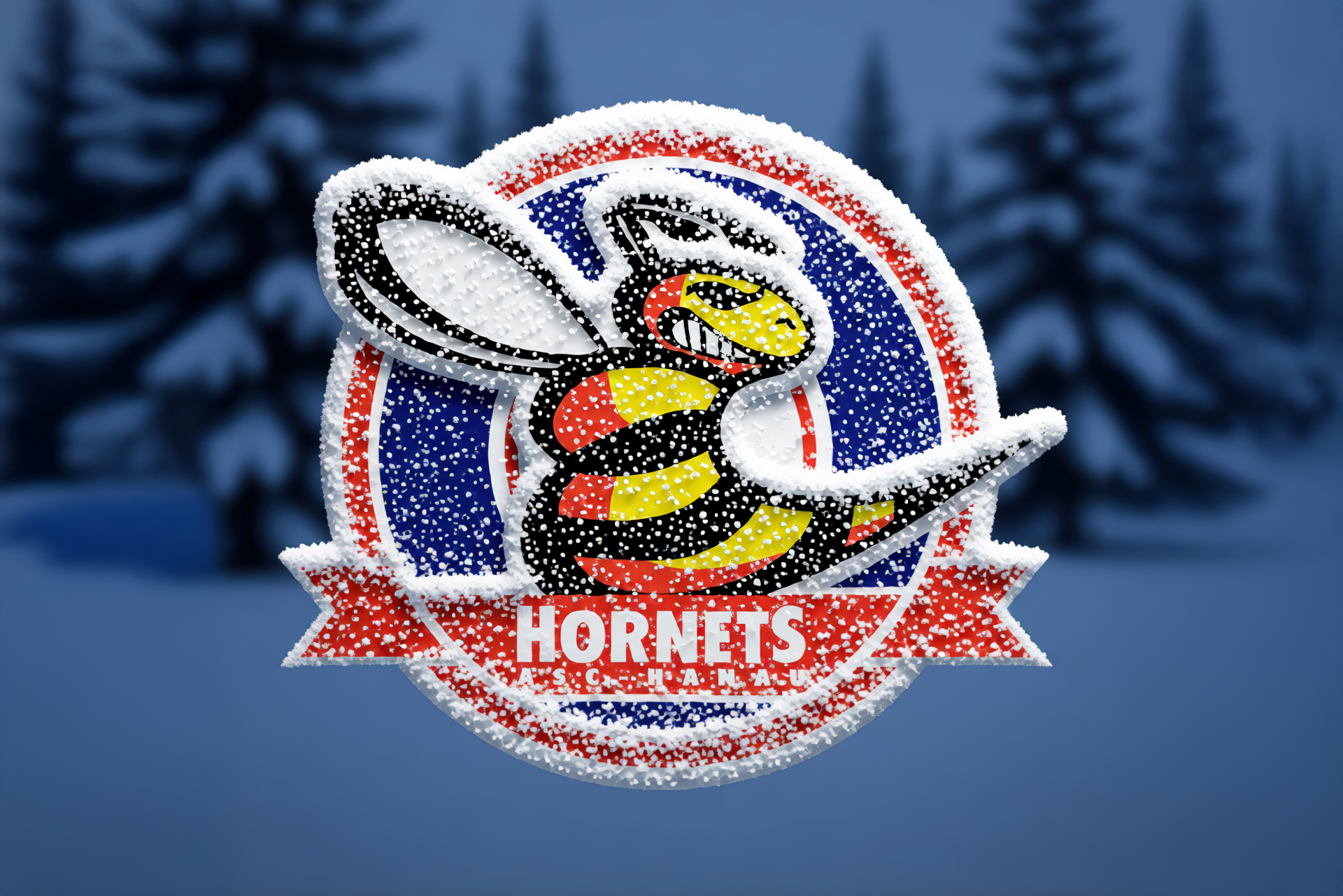 hornetslogo_eingeschneit_winterlandschaft