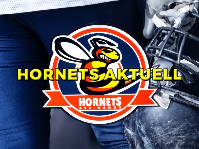hornets_aktuell_900x675